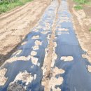 한우촌목장 이미지