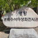 선바위(분재전시관) 이미지