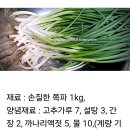 간단하지만 맛있는 파김치 만들기 파김치 황금레시피 이미지