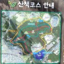 금봉정 | 대구 두류공원 금봉산 정상 주등산로 산책 후기