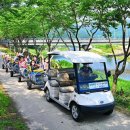 구룡천제방 이미지