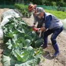 내서읍1119 이미지