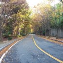 월평 사이클장 이미지