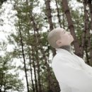 새(고경) 이미지