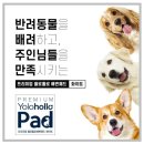 욜로홀로
