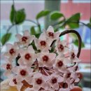 월아슈퍼 이미지