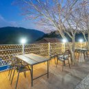 오늘하루 애견 동반 스파펜션 이미지