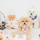 행복한리더로유치원 | 🎉 달링포레스트 오늘의 일기2025년 8월 5일 화요일, 춘식이의 생일파티🐾🎂