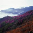삼일중 입구 Daum카페