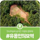 유몽인선생묘역 이미지