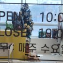 쁘띠르시앙