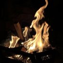 명돌캠프 이미지