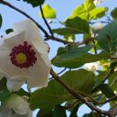 차경농장 이미지