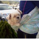 진해연합정비 | 2011 진주 산악자전거 축제 후기