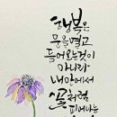 1월12일 금요일 당구방 이미지