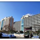 소노펠리체 이미지