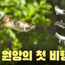 동일여자고등학교 이미지