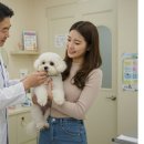 와우동물메디컬센터 이미지