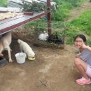 빈이농장 이미지