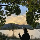 숲속의안뜰 이미지