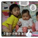 다희농장 네이버블로그