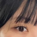블리샵