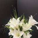 라플레르스튜디오 이미지