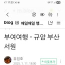 남면 동절사 이미지