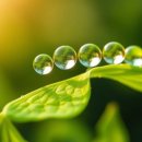 세이미용실 이미지