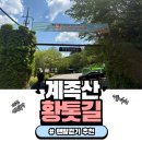 2006 | 대전 계족산 황토길 맨발 걷기 후기｜힐링 산책코스 추천