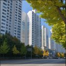 샘마을우방아파트 501동 앞 | 의왕 평촌 아파트 임장후기