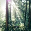 흙집우드 이미지