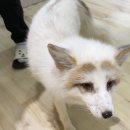 마리앤쥬 이미지