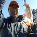대학당안경 네이버블로그
