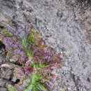 문산농약사 이미지