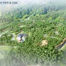 치유의 숲 이미지