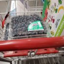 Costco 다녀왔어요 4월까지 비비고 만두 세일등 이미지