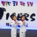 합기도 호랑이들 이미지