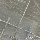 [W+484] 에코디자인 에코줄눈 시공 후기
