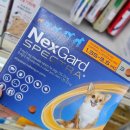 서정부부약국 이미지