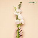 아모레플라워 이미지