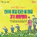 산수유꽃길로 이미지