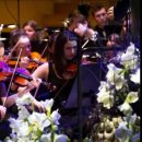 Cinema Paradise 이미지