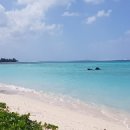 수원-0488 이미지