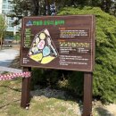 한솔동 여울목수변공원