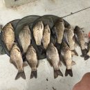 행복 낚시터 이미지