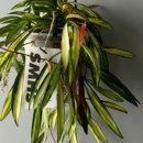 와이티스토어 이미지