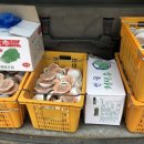 서구노인복지관 앞 이미지