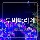 송파구 석촌호수의 가을과 겨울을 밝게 비춰줄 루미나리에.축제의 현지경관조명전시 사진담기 (Dream,Universe &amp; Love) 이미지