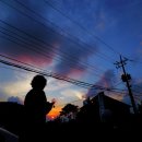 대둔산목장 이미지